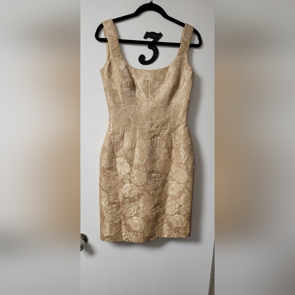 Dolce & Gabbana Tan Floral Mini Dress - Picture 2 of 8
